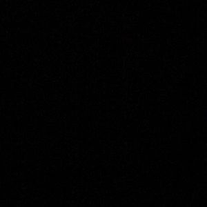 Meet your Posher, Bayla